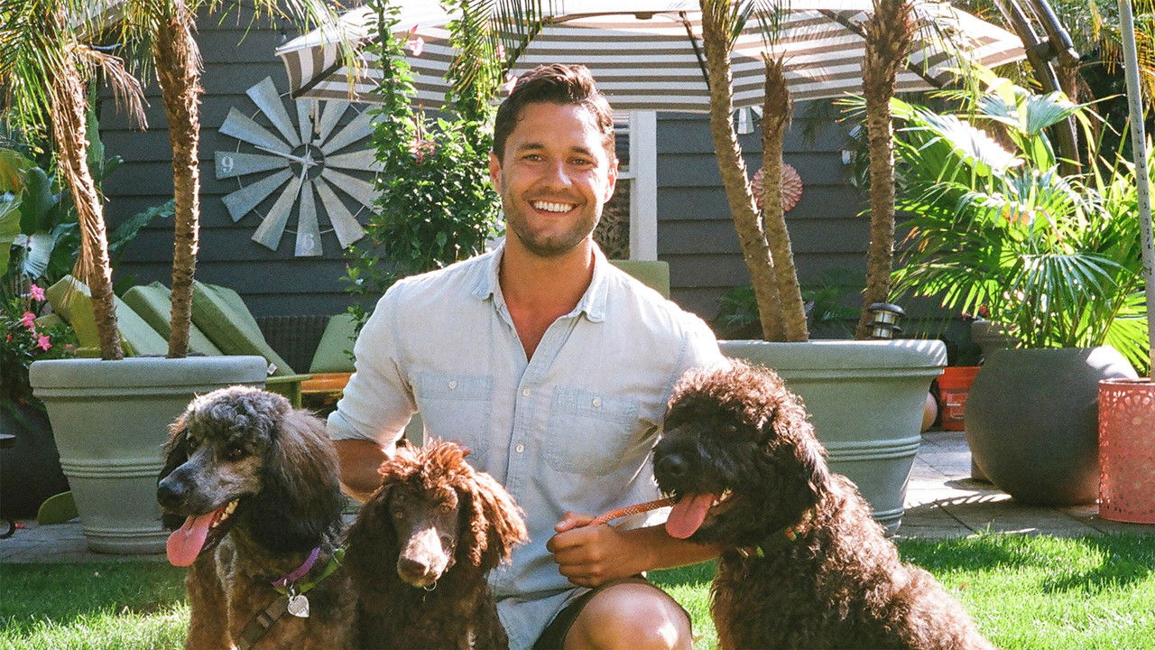 Ready, Set, Pet backdrop