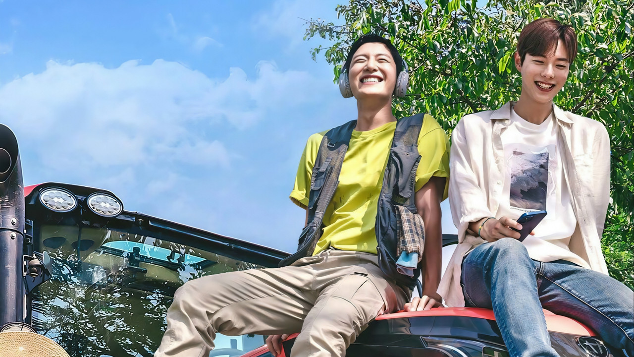 Love Tractor backdrop