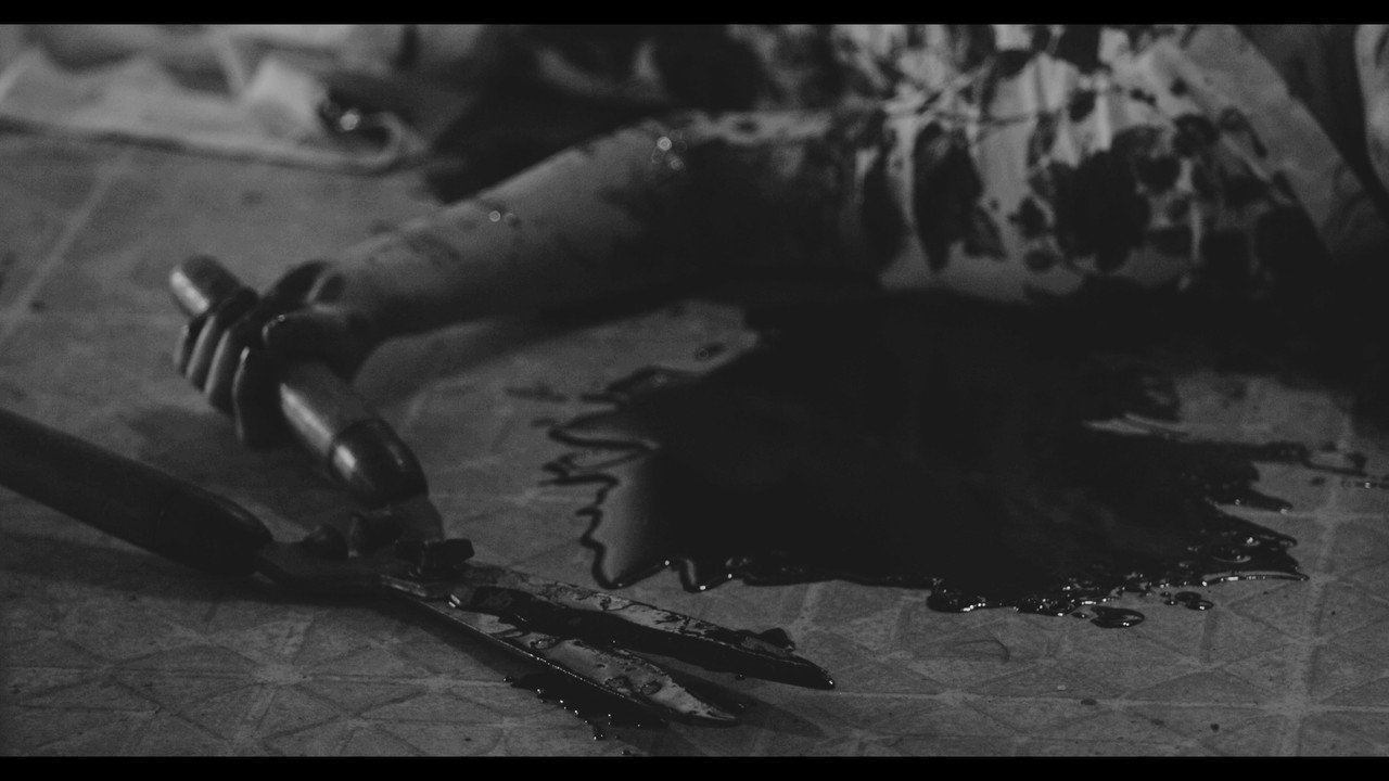 The Girl Inside The Photograph backdrop