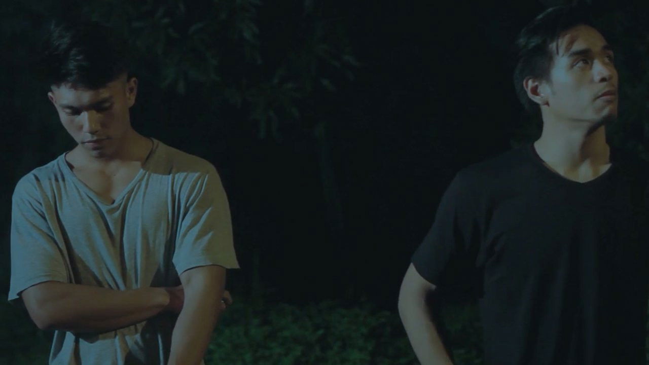 Why Do Birds Suddenly Disappear? backdrop