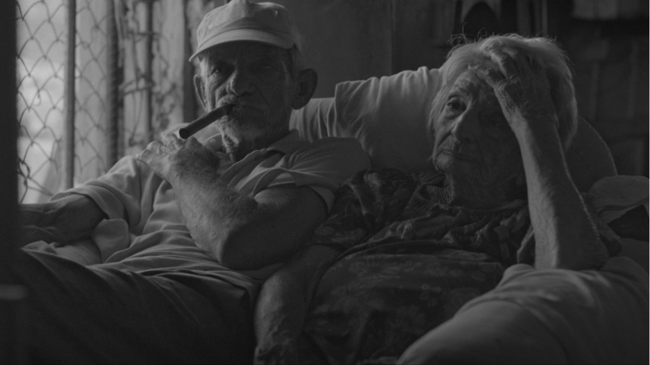 The Olden Heralds backdrop