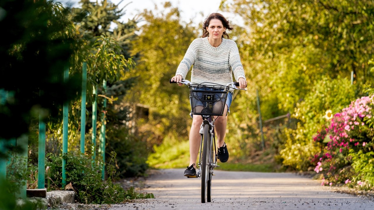 Silent Companion backdrop