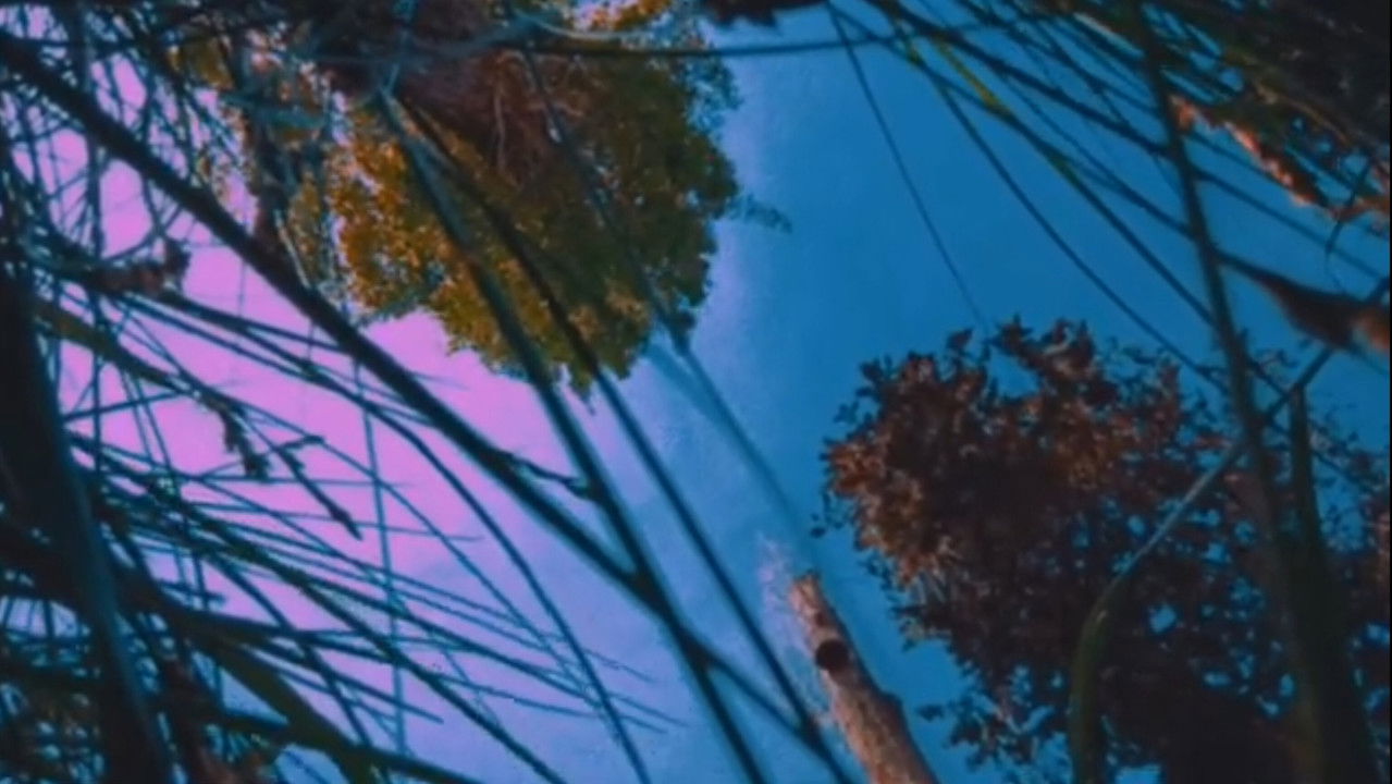 Nostalgia of Everything backdrop