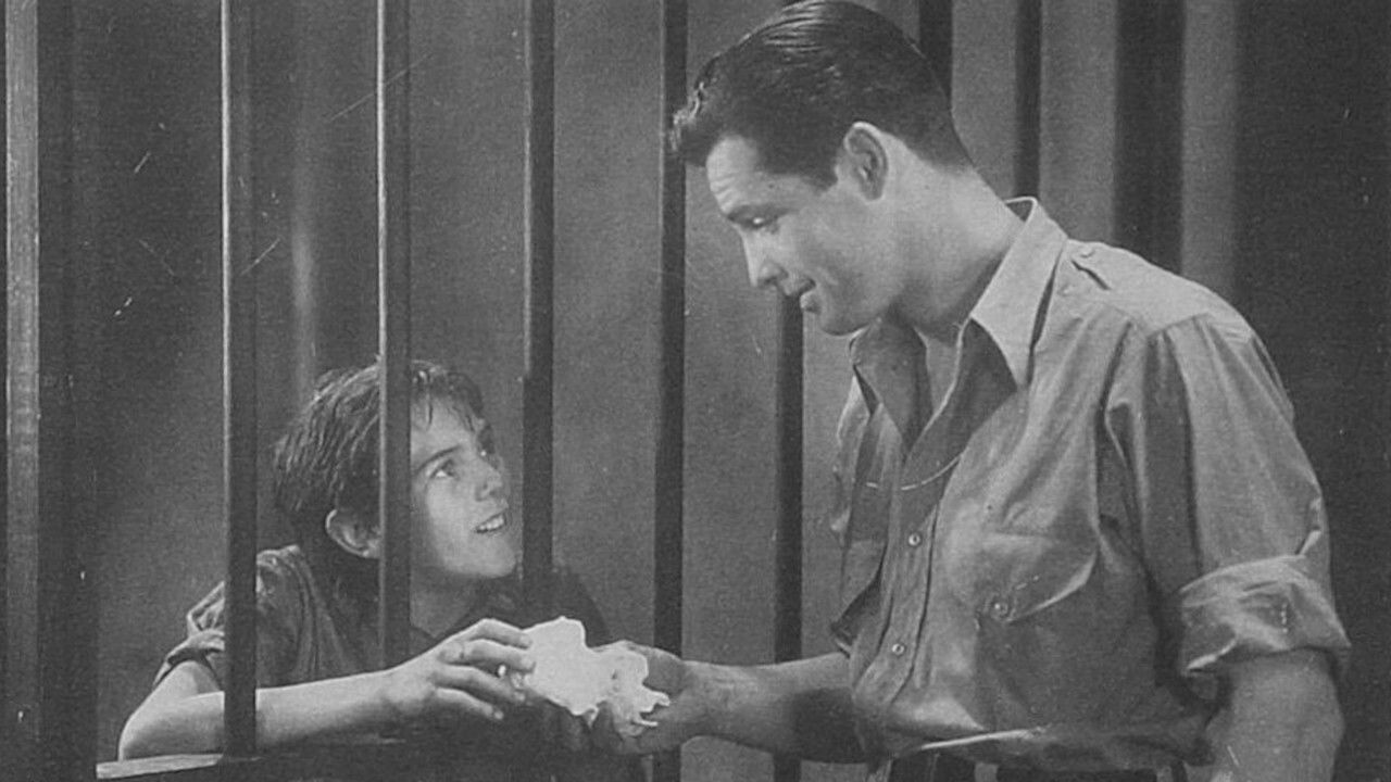 Thunderbolt backdrop