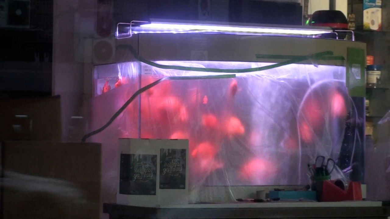 Rainy day, on the way back home after skipping class backdrop