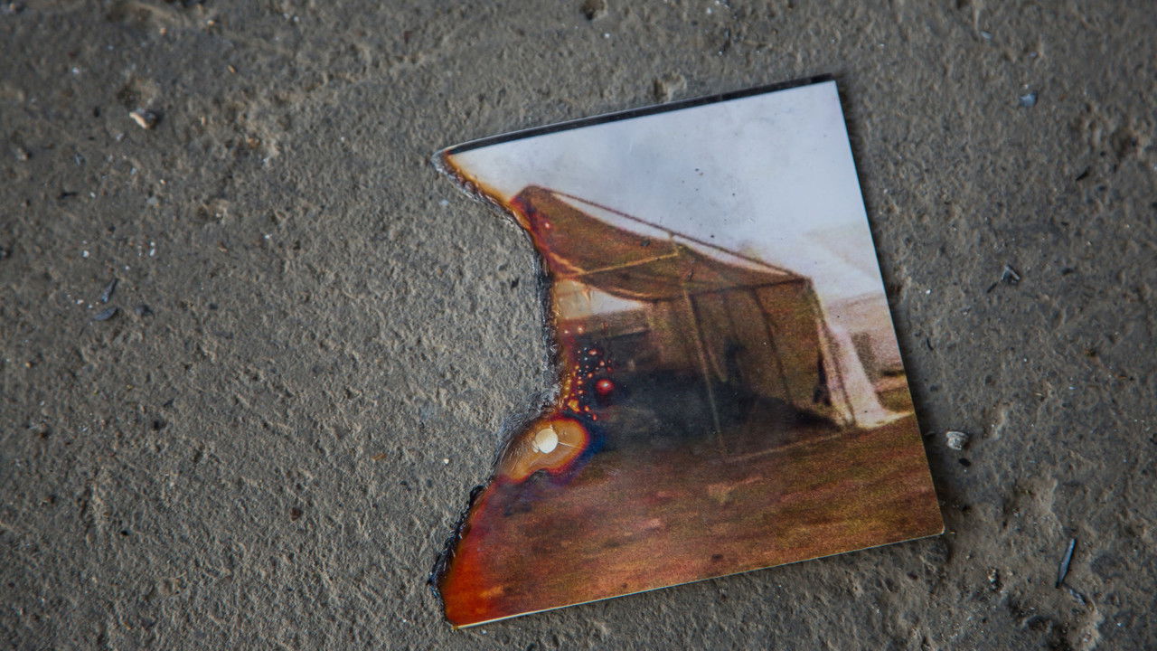 The Investigator backdrop