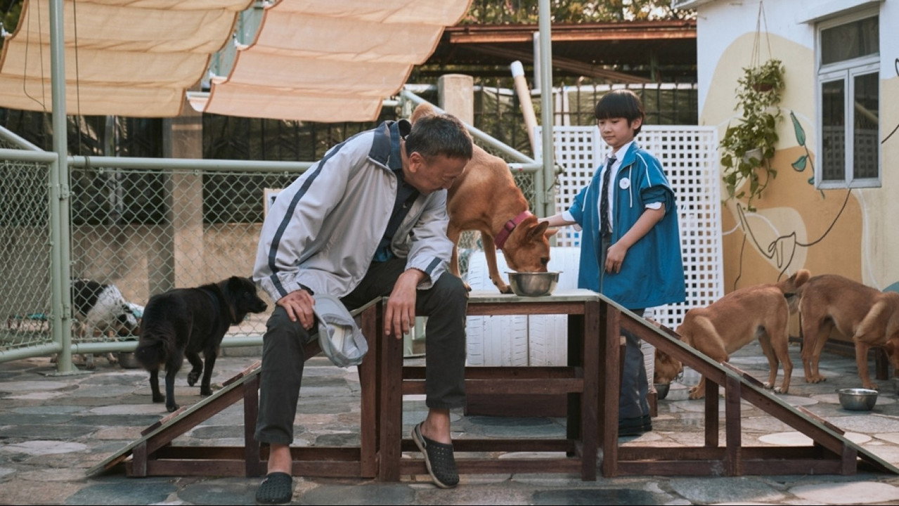 An Abandoned Team backdrop