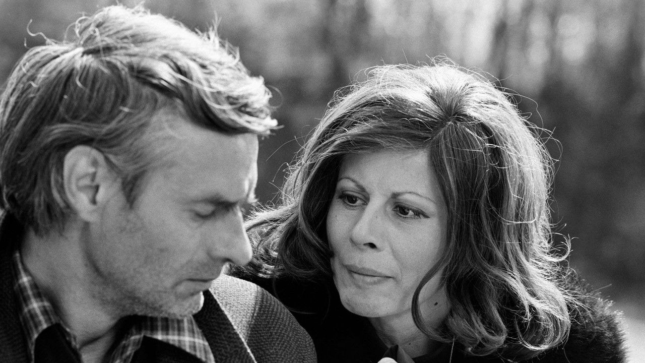 Big Night and Big Day backdrop