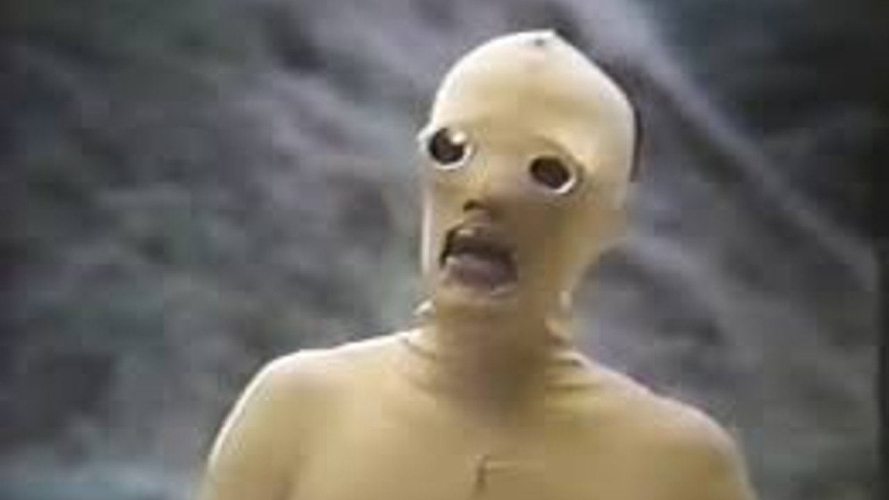 Male, Female & Co. backdrop