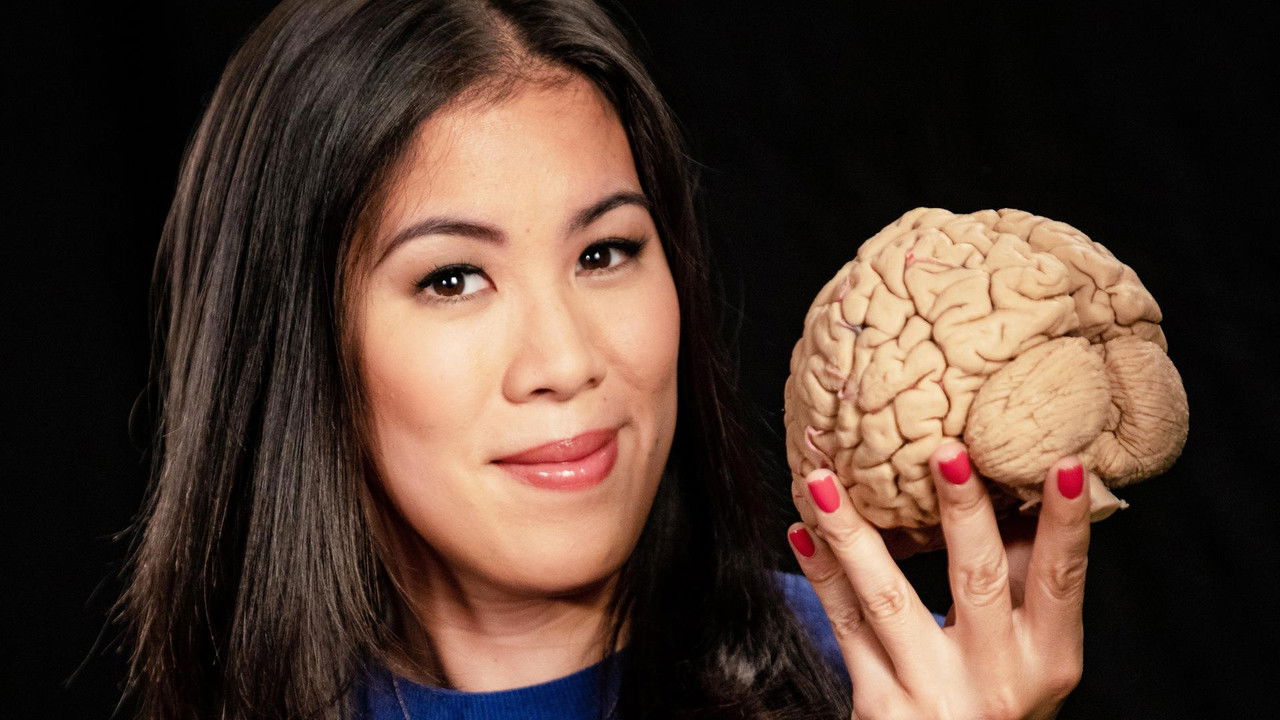 MaiBrain: Reise ins Gehirn backdrop