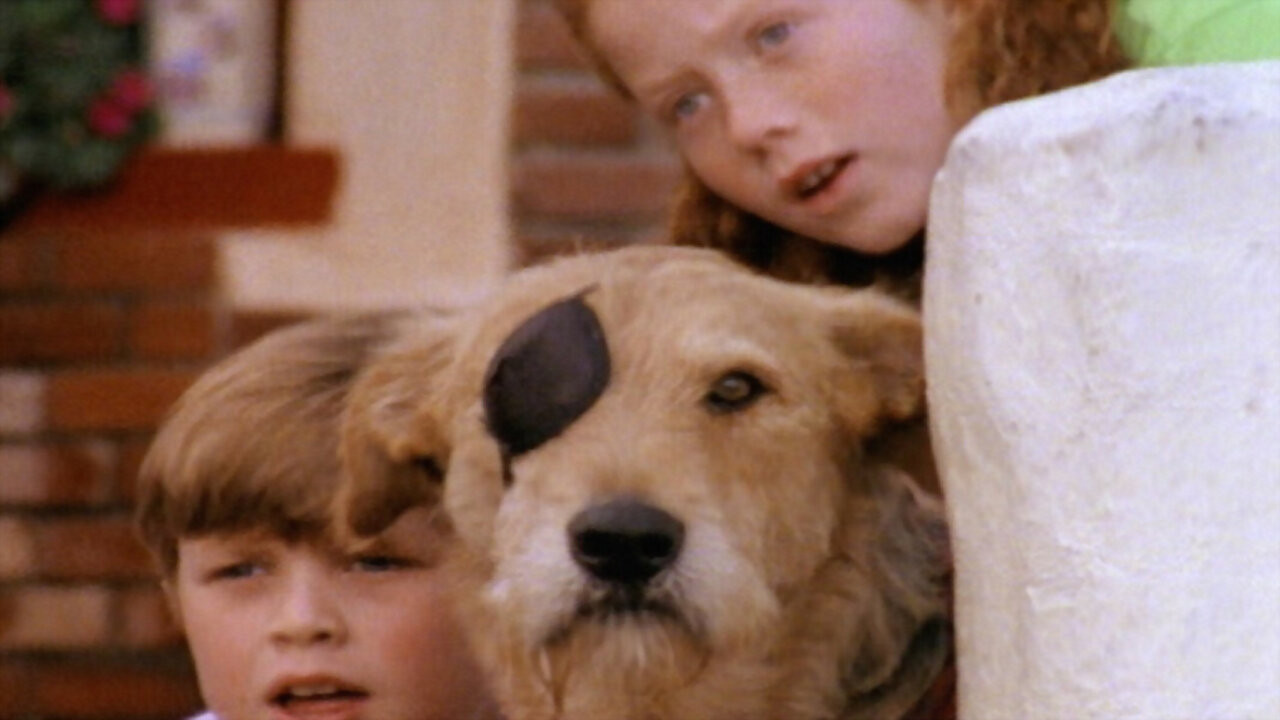 Sherlock: Undercover Dog backdrop