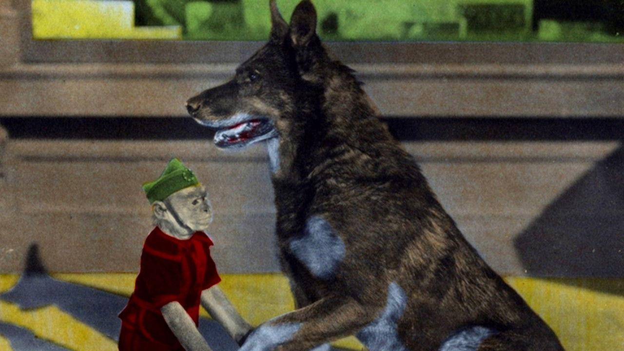 Rinty of the Desert backdrop