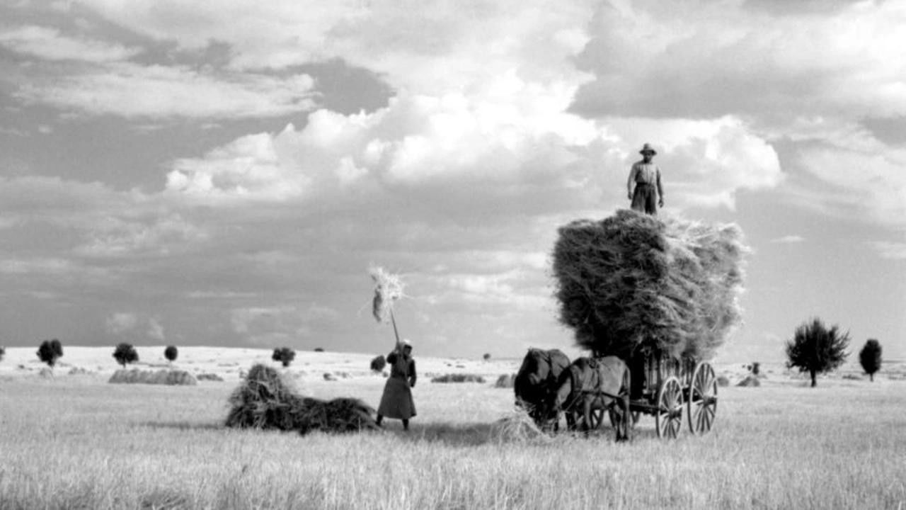 My Father’s Studio backdrop