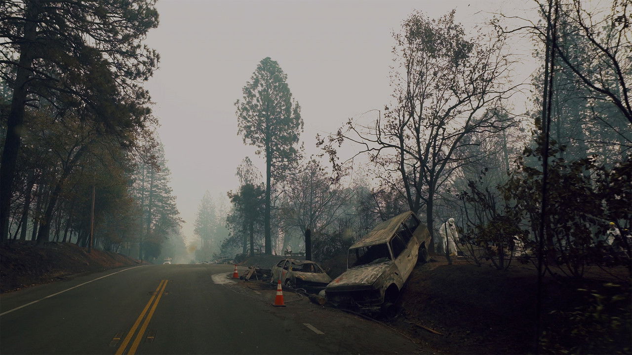 The Fire Cats: Save Something Small backdrop