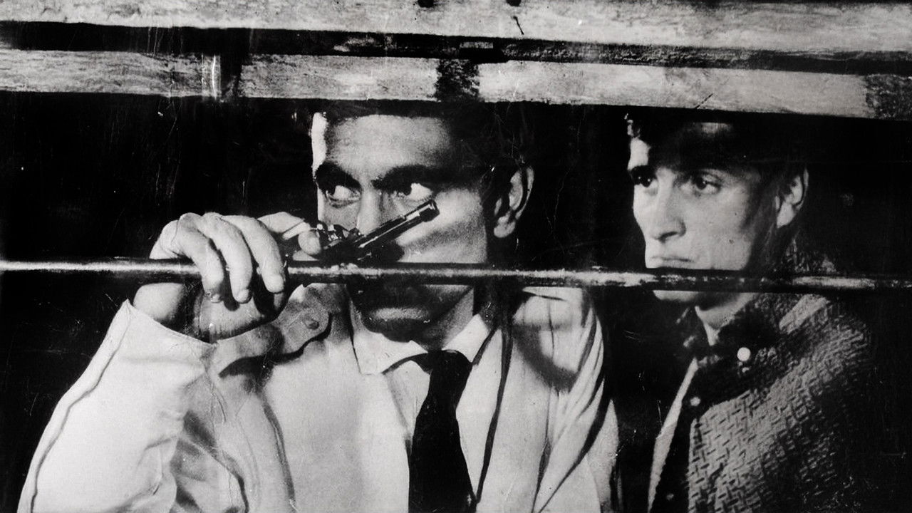 Zımba Gibi Delikanlı backdrop