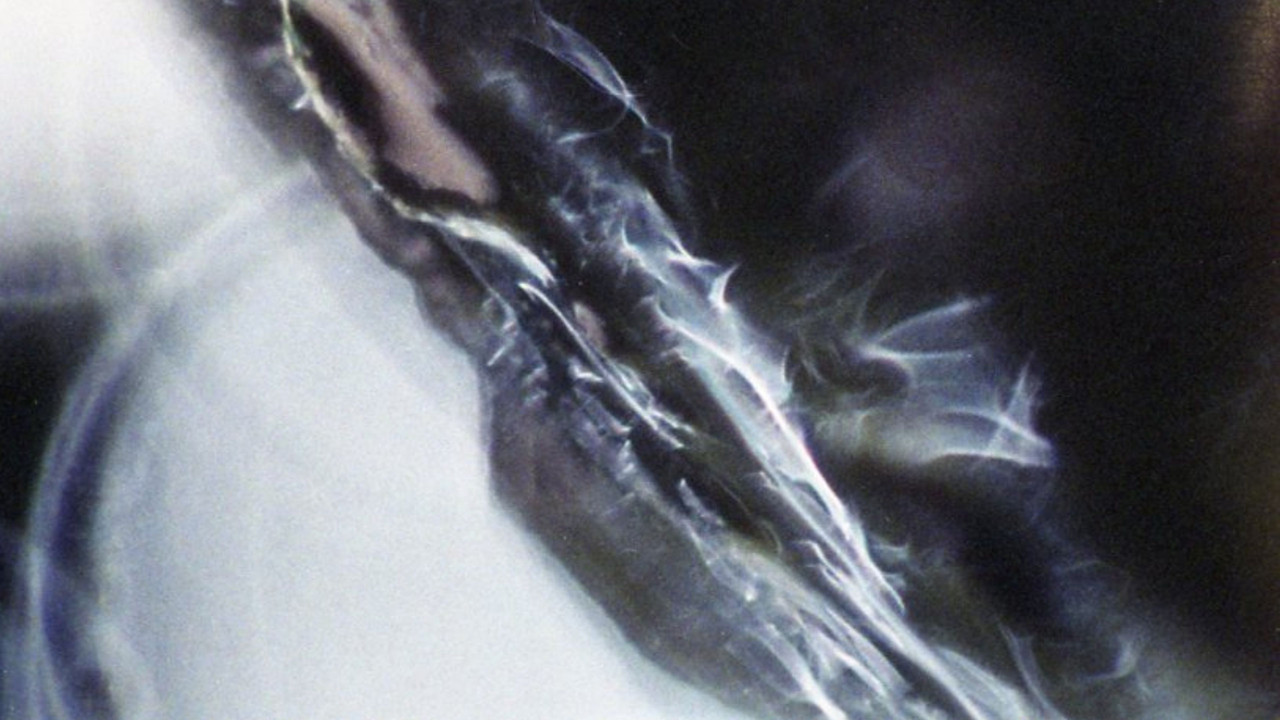 Voluptuous Sleep backdrop