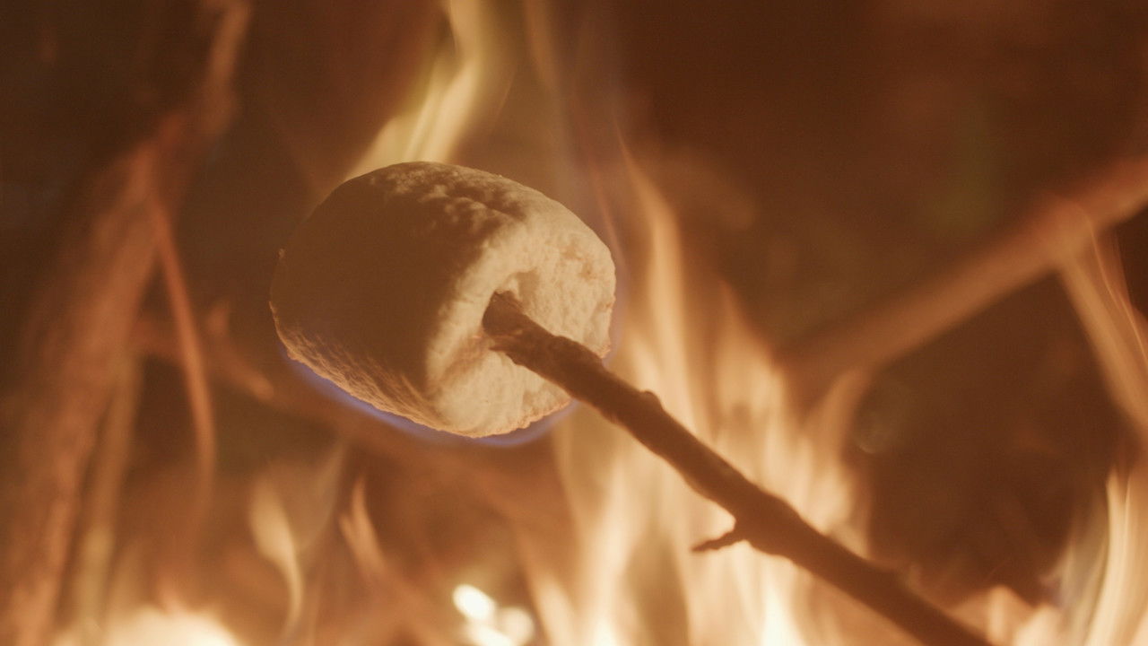 By the Campfire backdrop