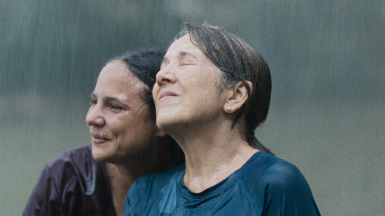 Beloved Tropic backdrop