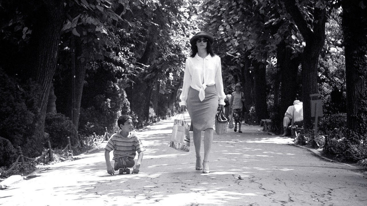 The Wild Dogs backdrop