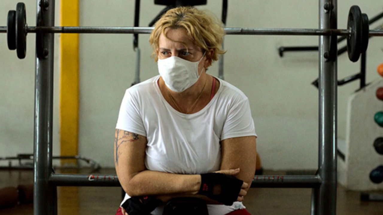 Pequena Flor de Ameixa: Raiz backdrop