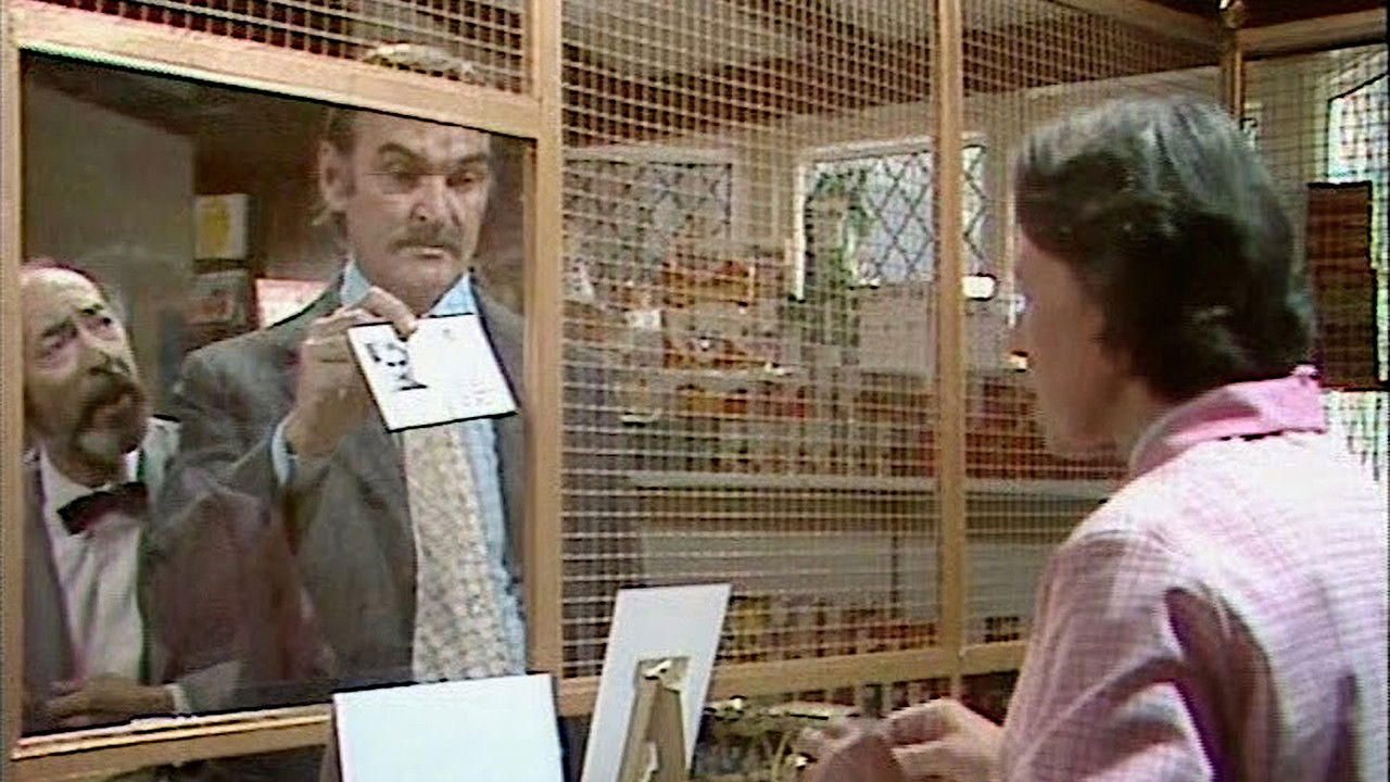 Who Killed Lamb? backdrop