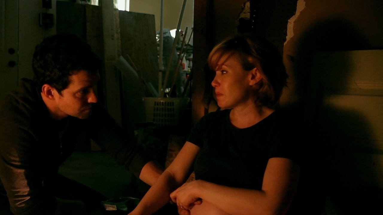 Delicate State backdrop