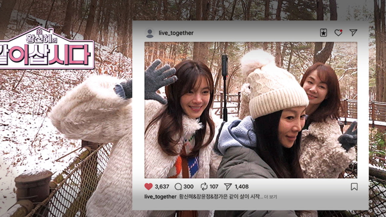 황신혜의 같이 삽시다 backdrop