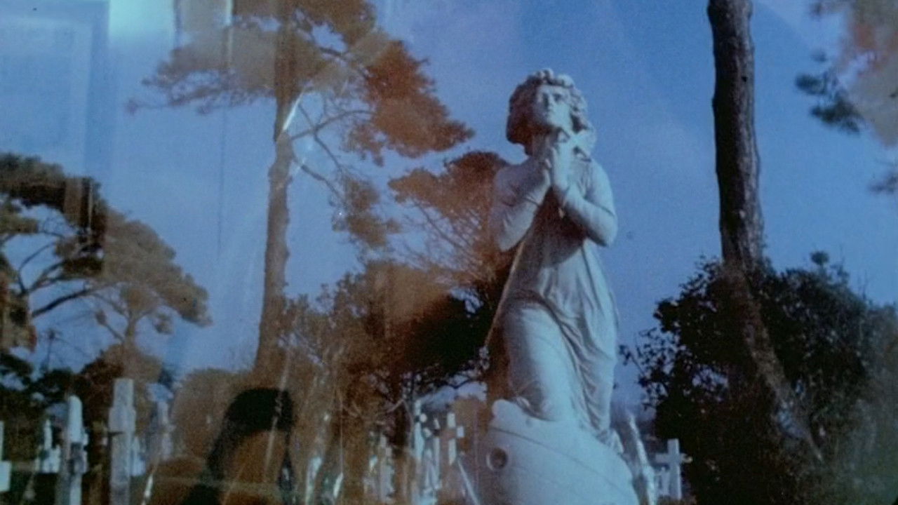 Marvo Movie backdrop