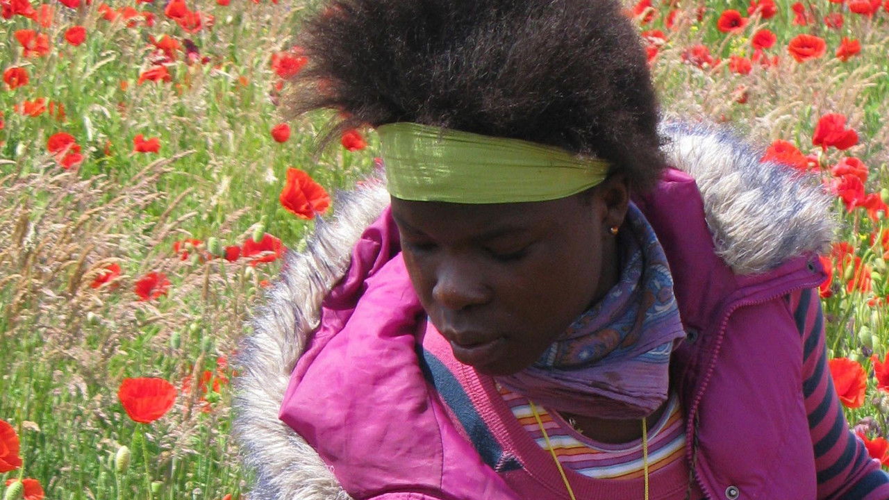 African Dream backdrop