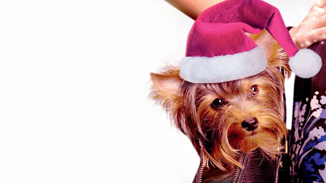 Monster & Me backdrop