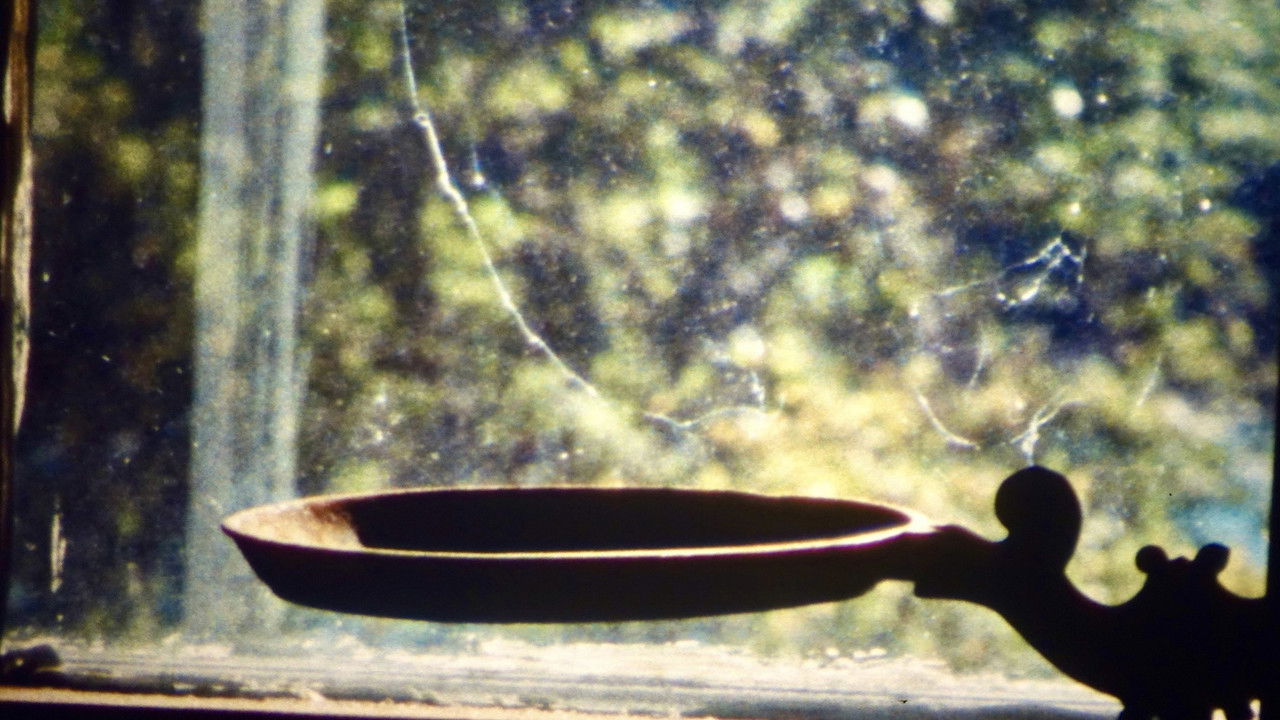 Dedication: Bernice Hodges backdrop