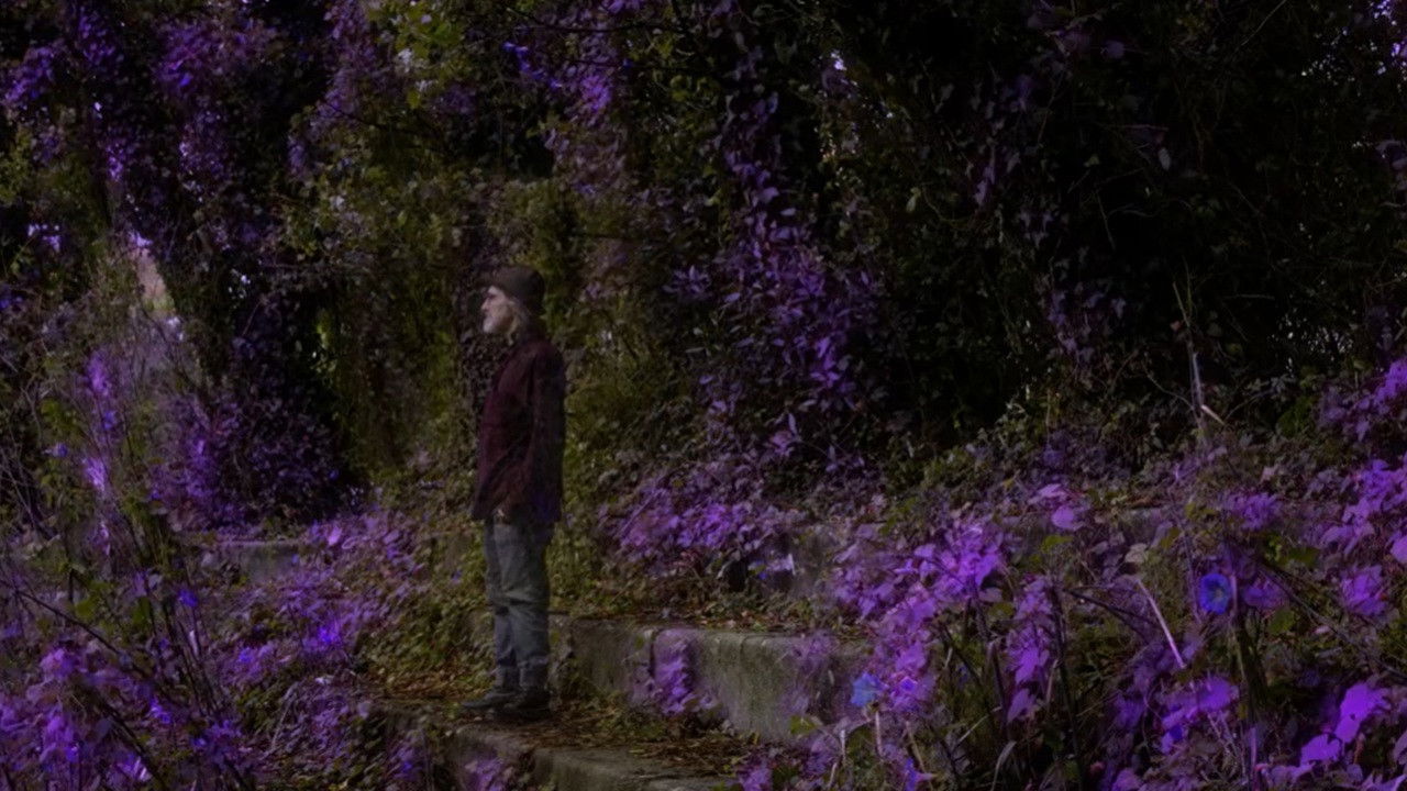 Ultraviolet backdrop