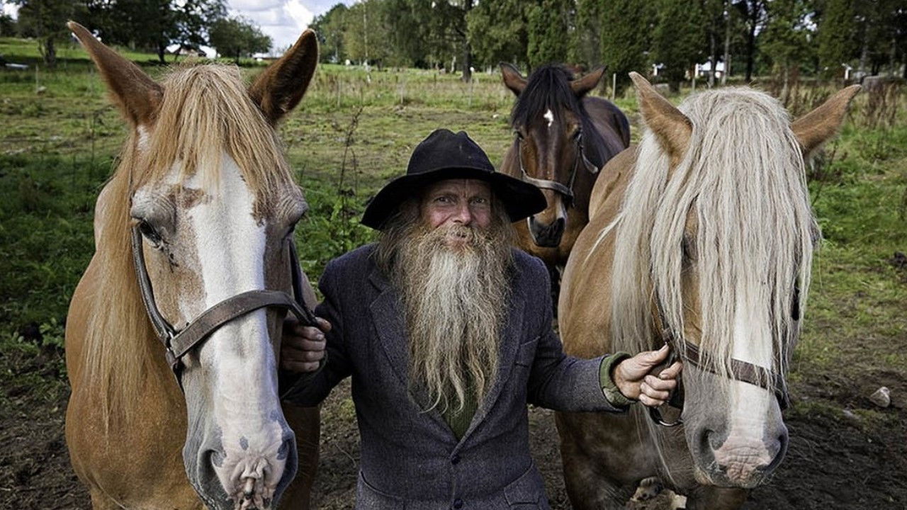 Hästmannen – sista striden backdrop