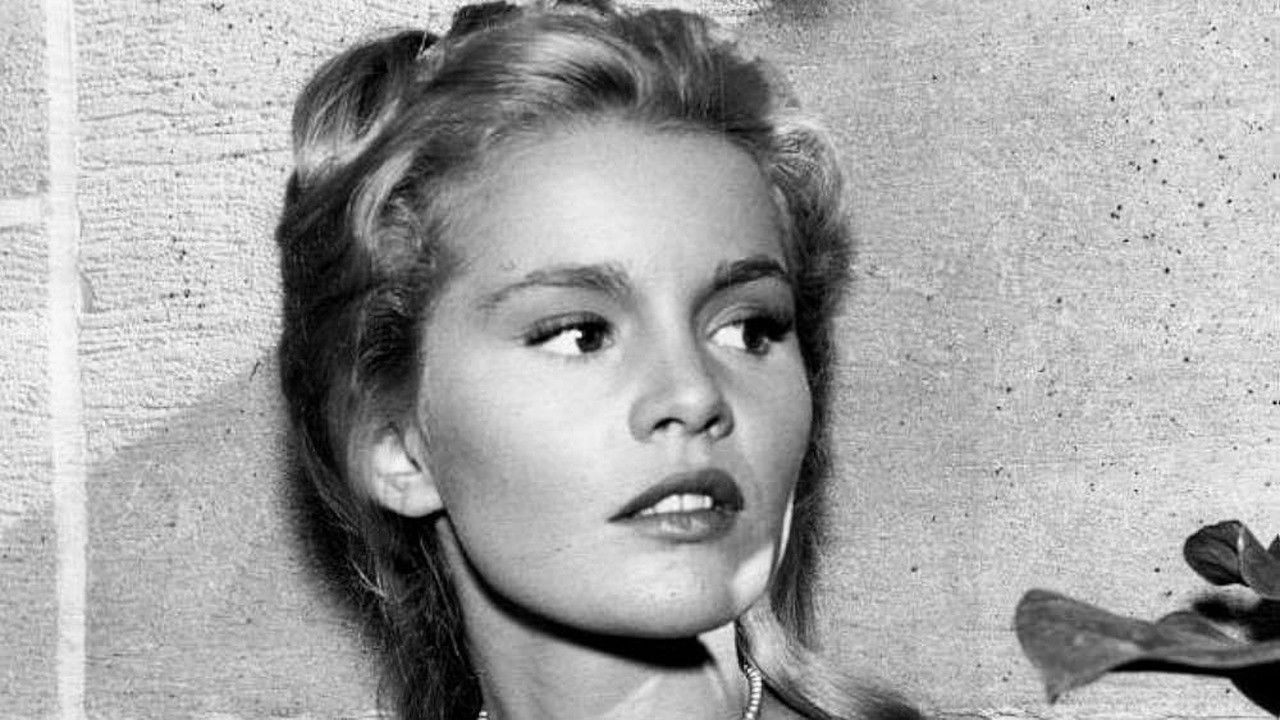 Follow the Sun backdrop