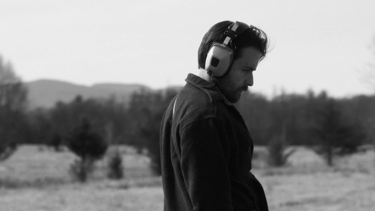 Black Soil, Green Grass backdrop