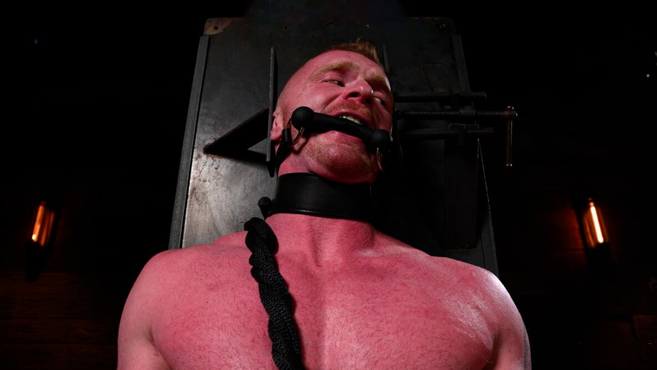 The Adventure of Brody Fox backdrop