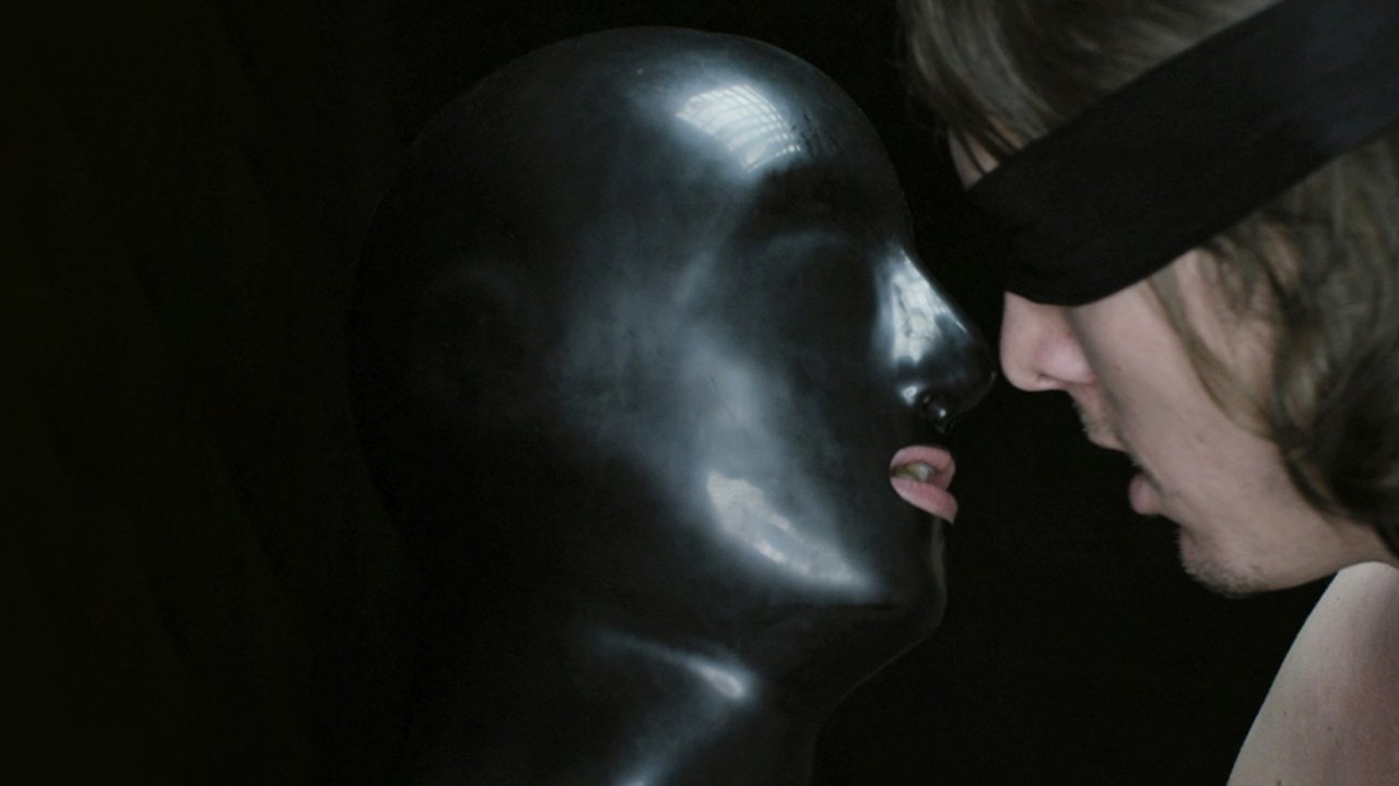 Despite the Night backdrop