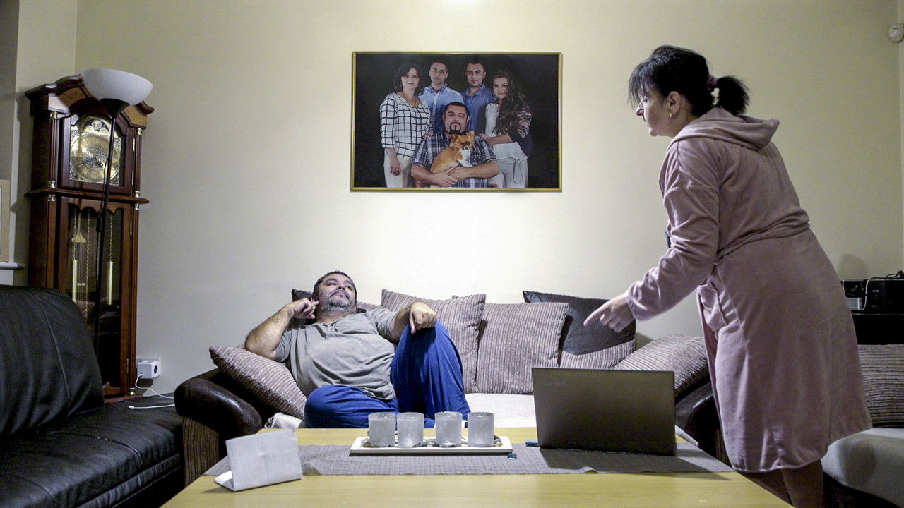 Pongo Calling backdrop