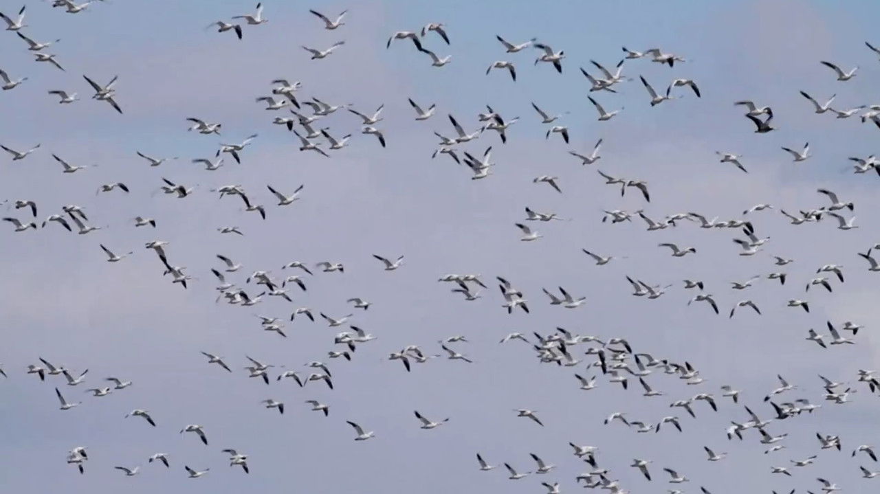 Everything Is All Right backdrop