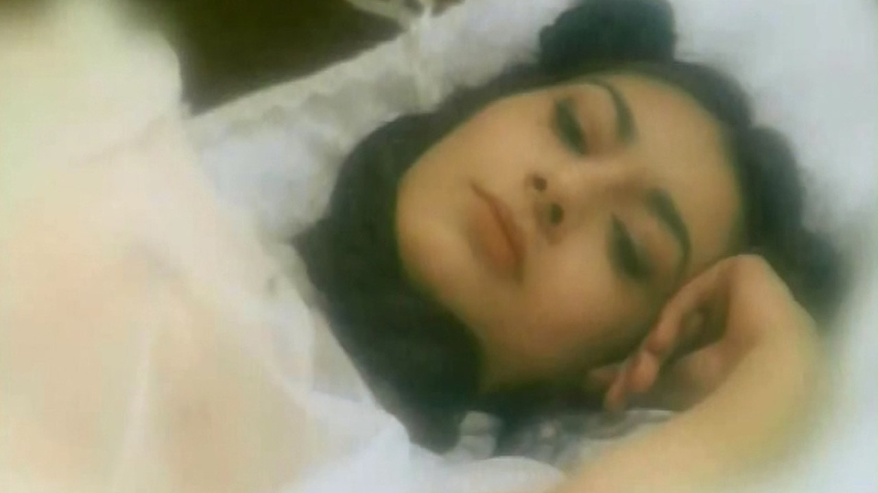 My Fair Dolly backdrop