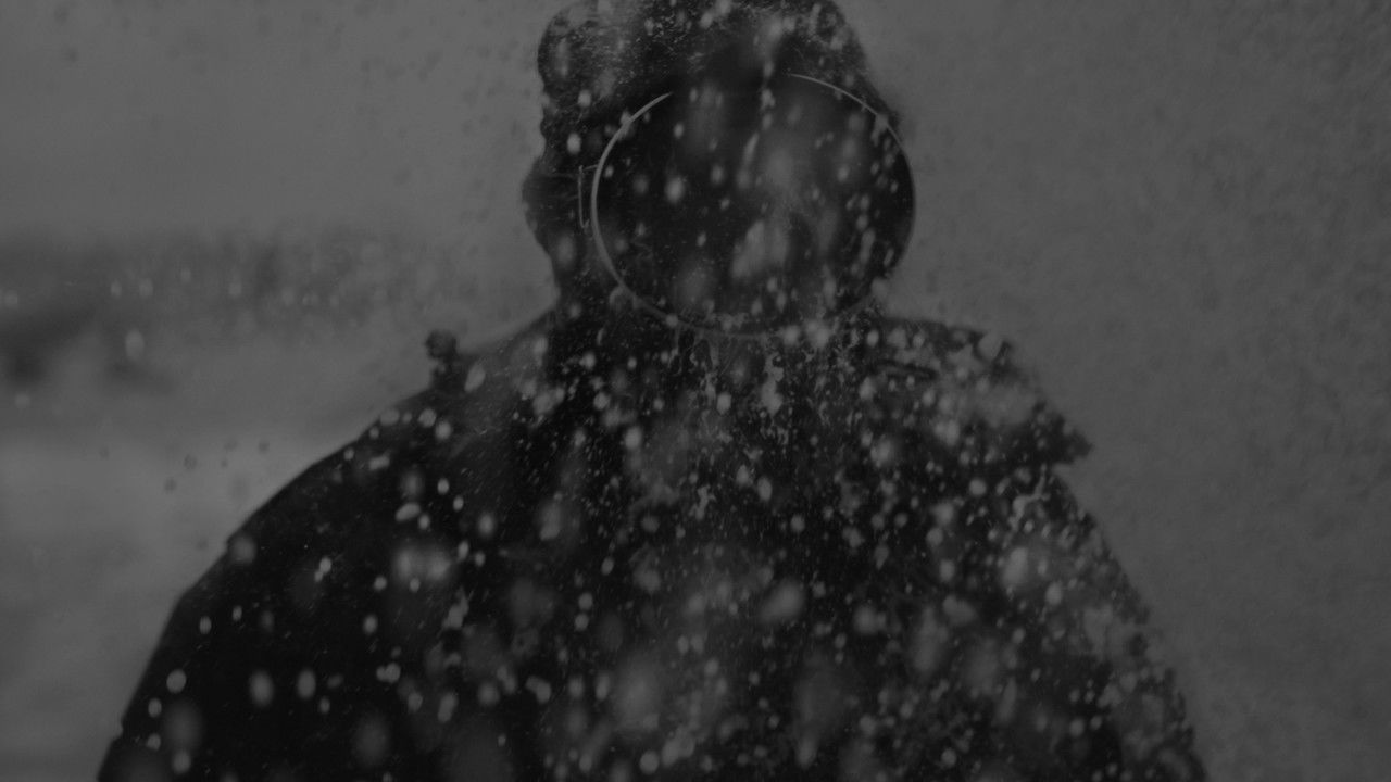 The Tide Will Bring You Home backdrop