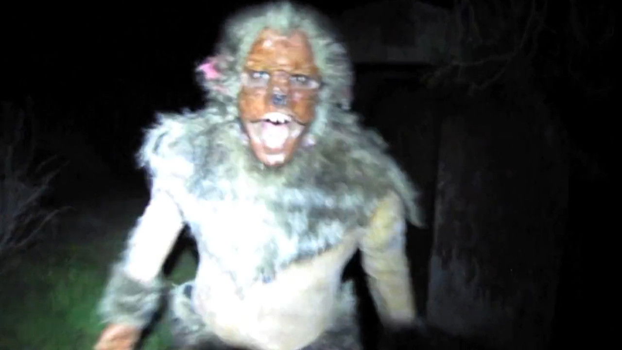 We Found Something backdrop