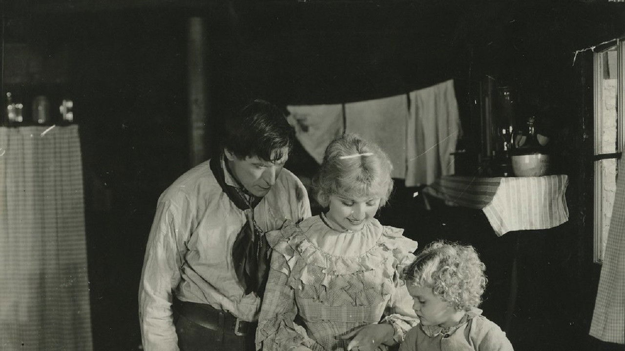 The Testing Block backdrop