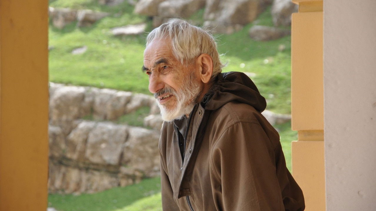 Love Solitude backdrop