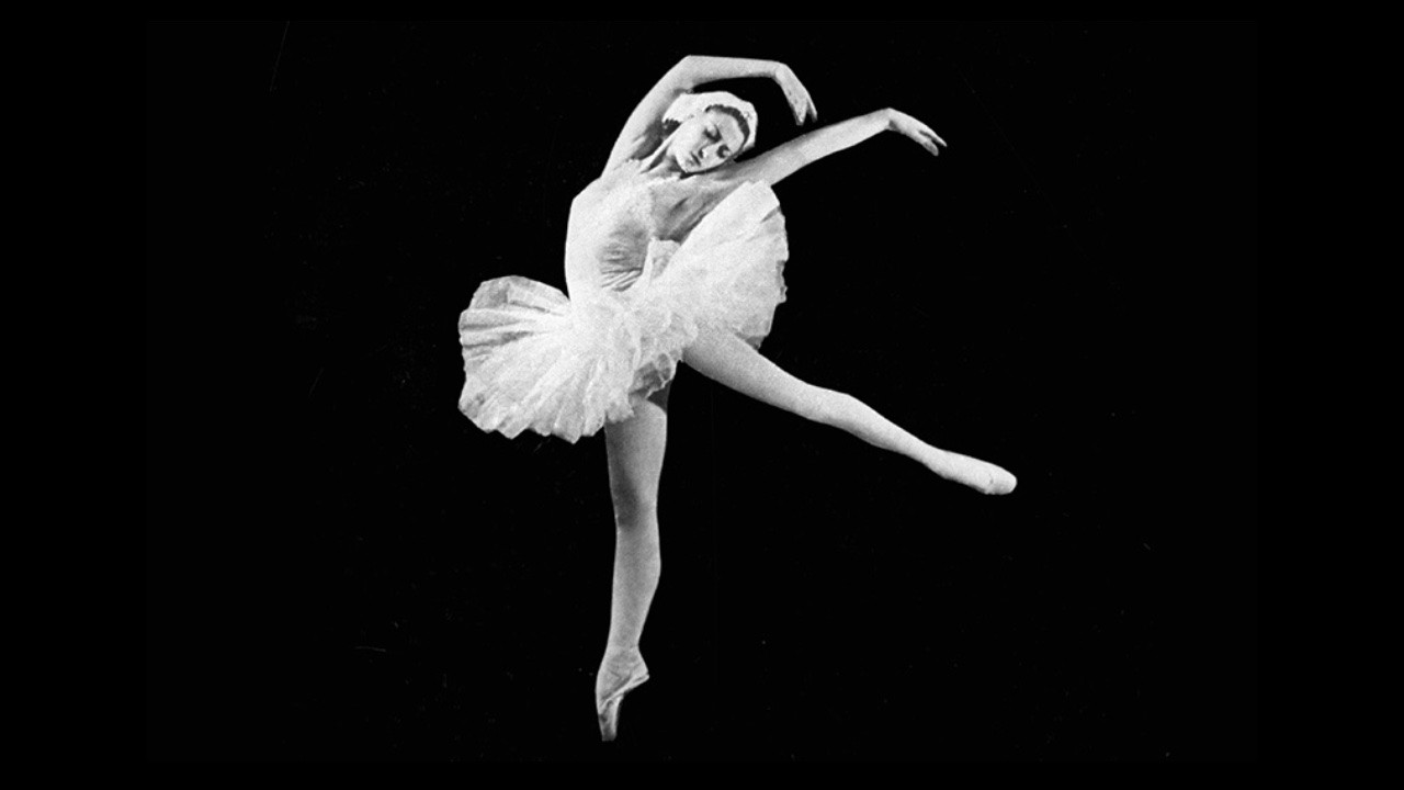 M.K.C. Zodiakas backdrop