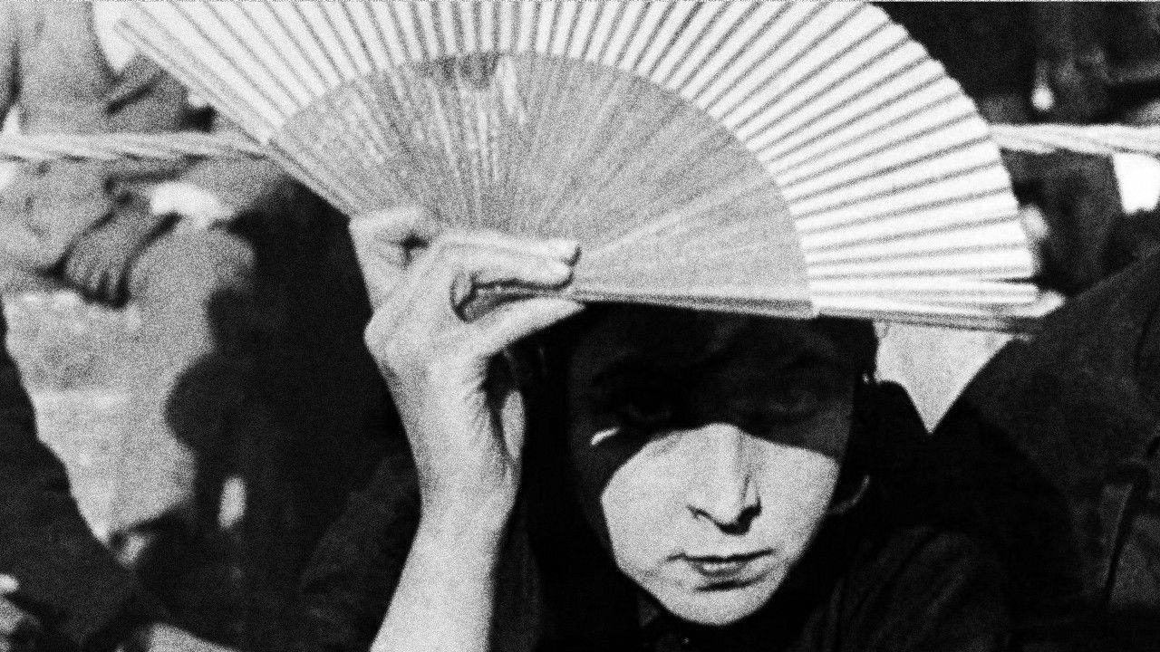 Sun and Shadow backdrop