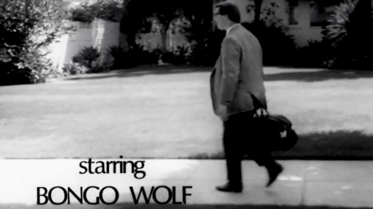 Bongo Wolf’s Revenge backdrop