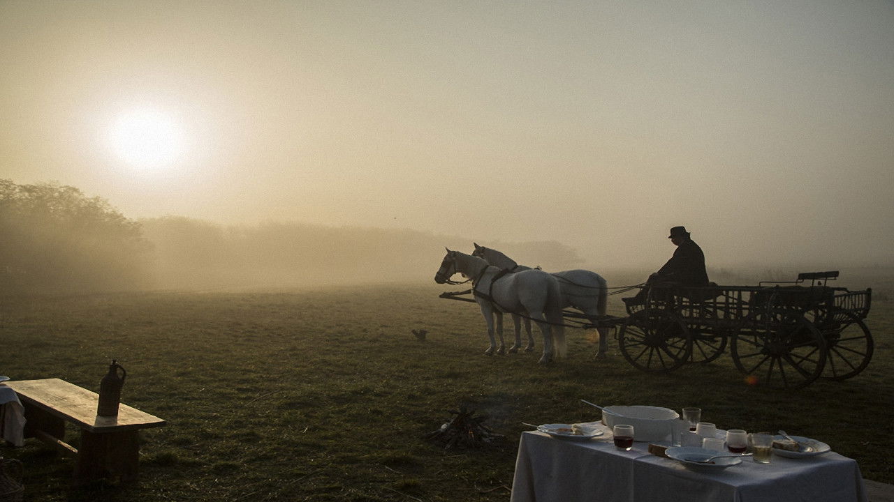 A fekete bojtár backdrop