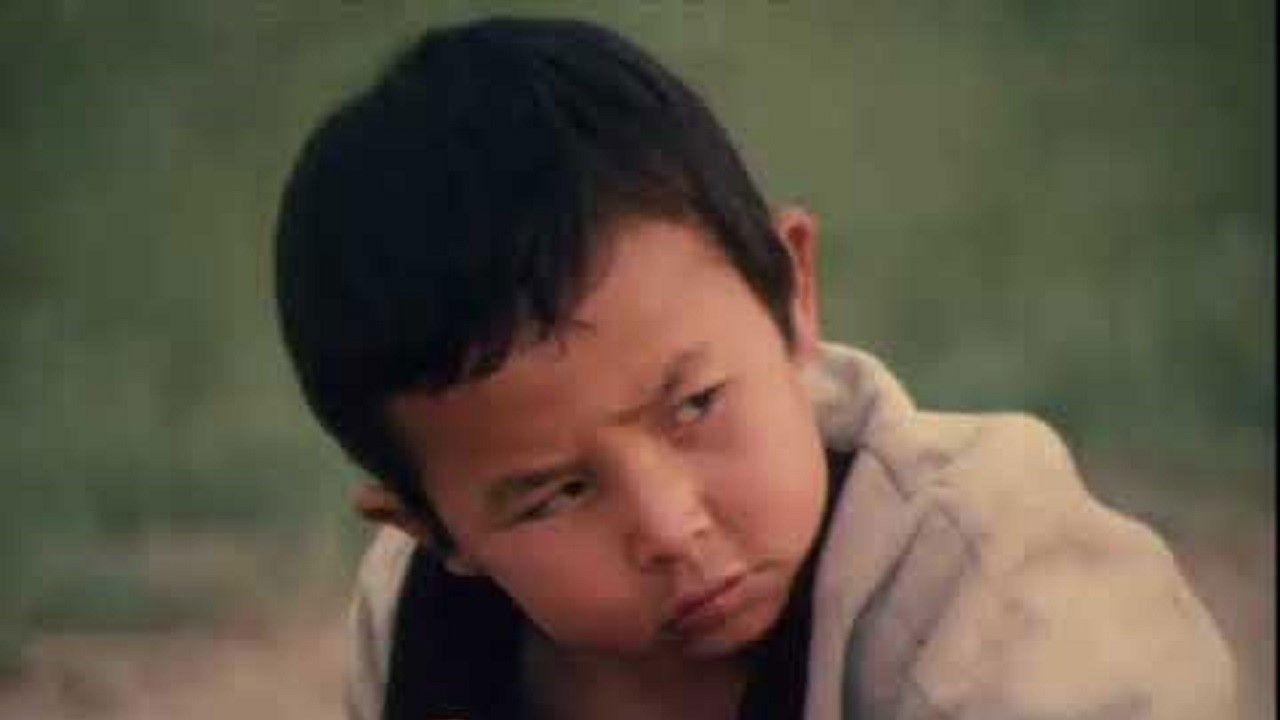 Shok and Sher backdrop