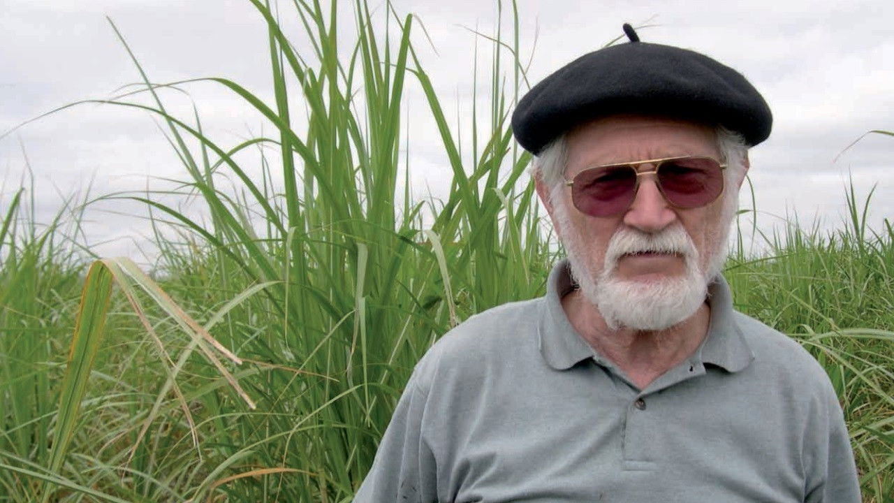 Secrets of the Struggle backdrop